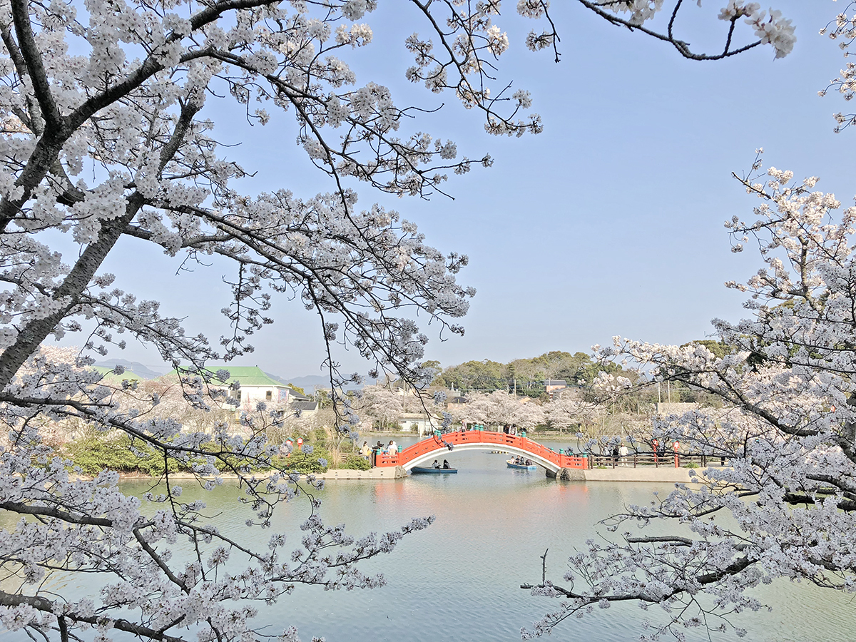 いしまつ歯科クリニックp2