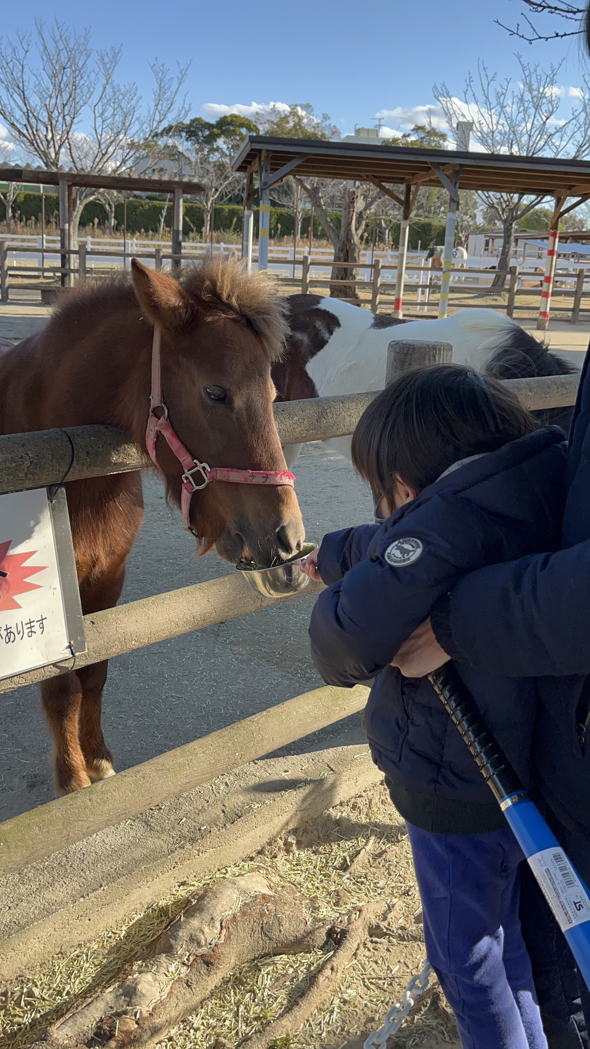 D6AE0AE0-B4C9-4309-A3EF-29E5691E5374 - いしかず