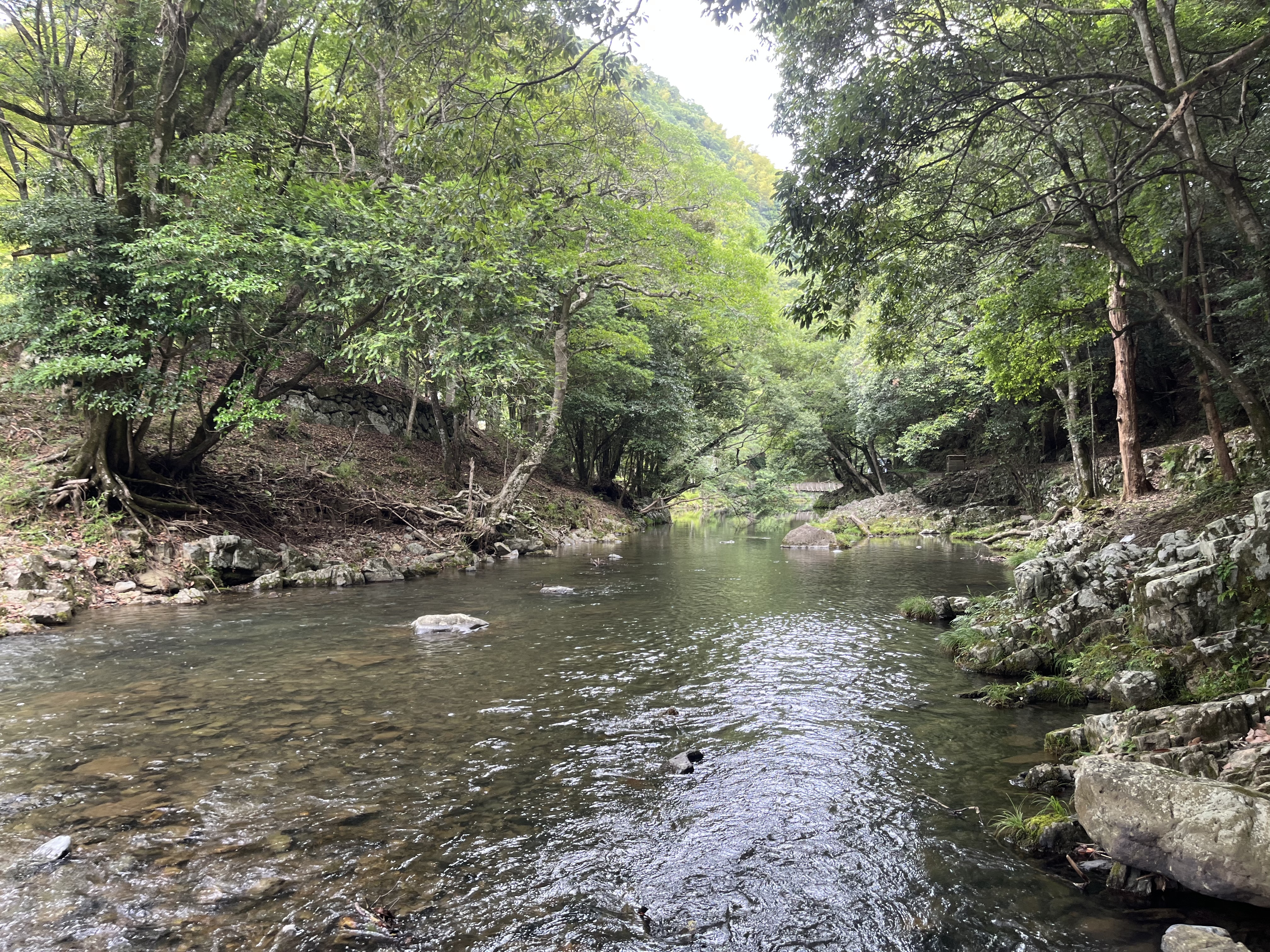 7BAC40F9-917D-4BEB-A568-7BC5817177BD - いしまつ歯科クリニック