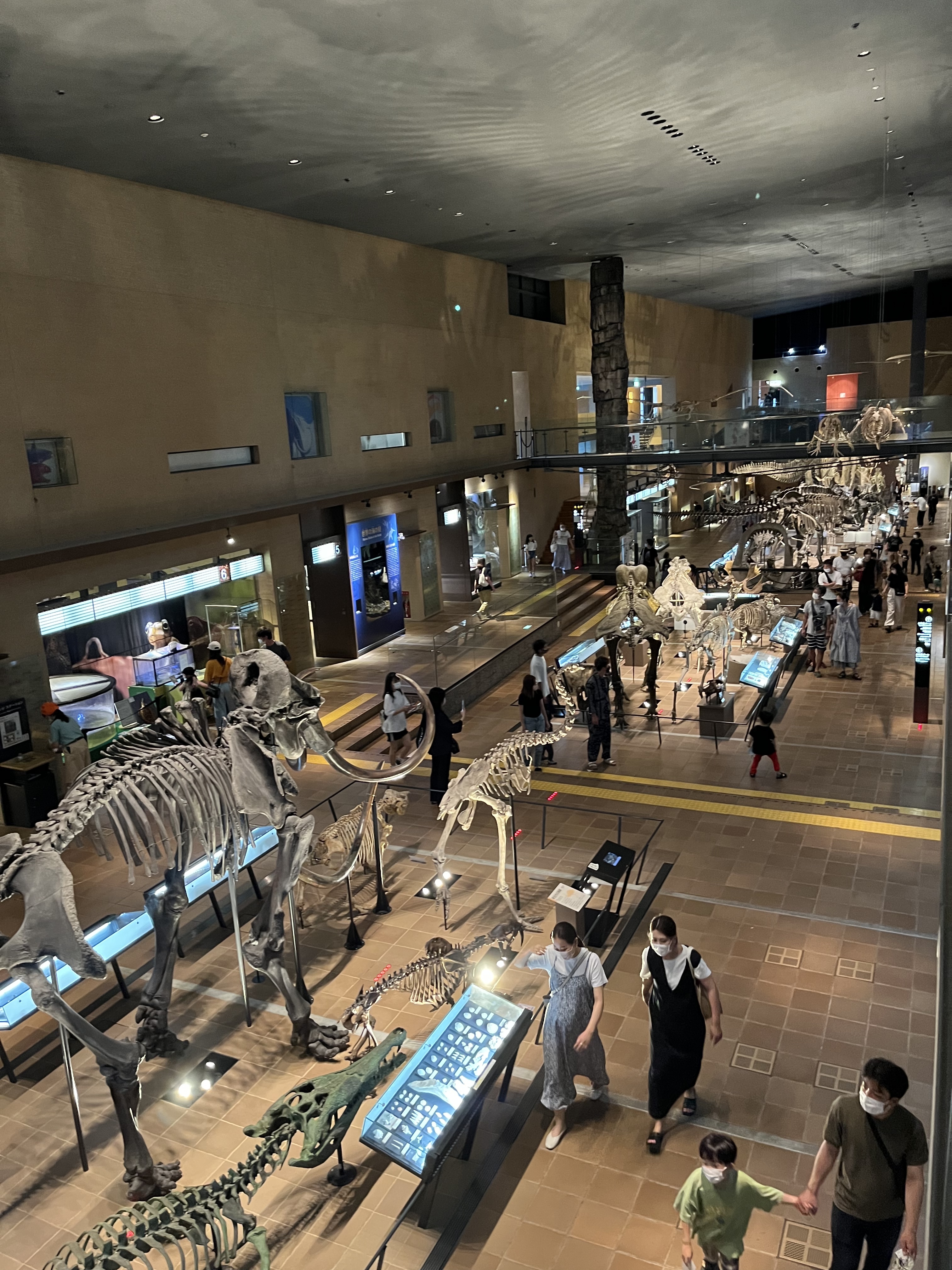 DAADF0FD-74AF-4704-9867-DB19F8AA12D6 - いしまつ歯科クリニック