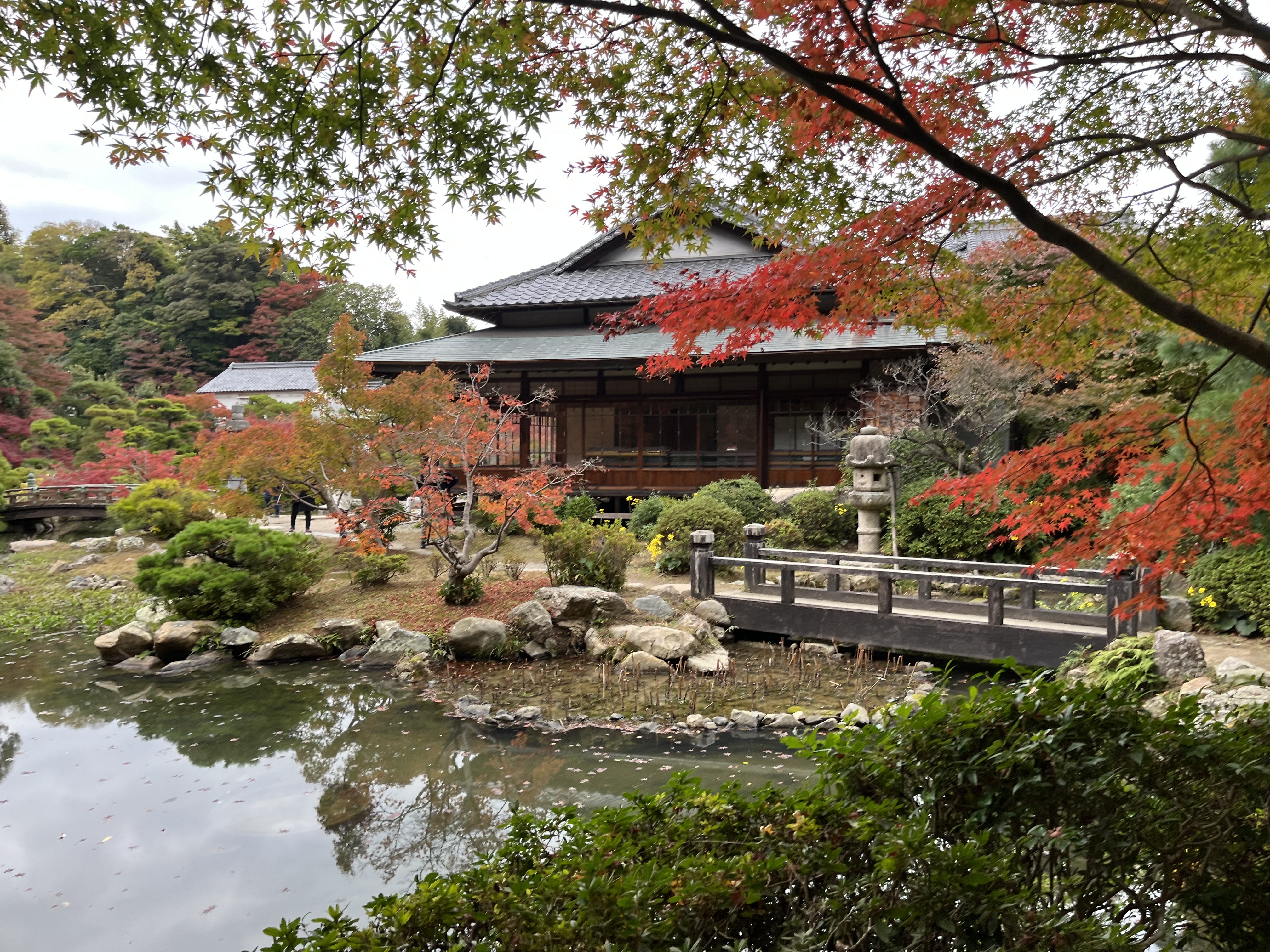 B6CA96D1-7B9B-4A78-97D4-DDD6DB651524 - いしまつ歯科クリニック