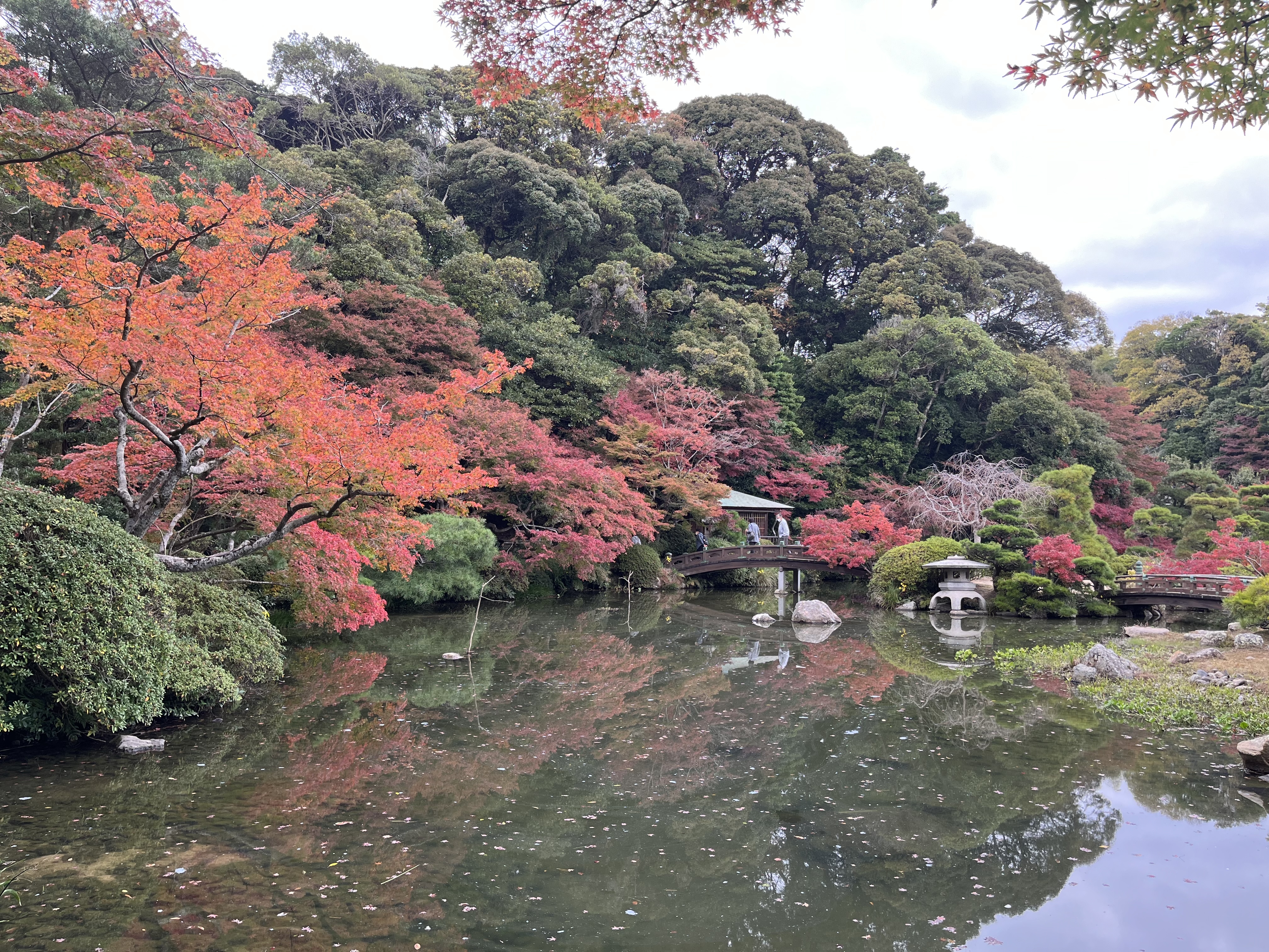 3F400151-CDDD-415D-BE67-9DBAAC2DE38A - いしまつ歯科クリニック