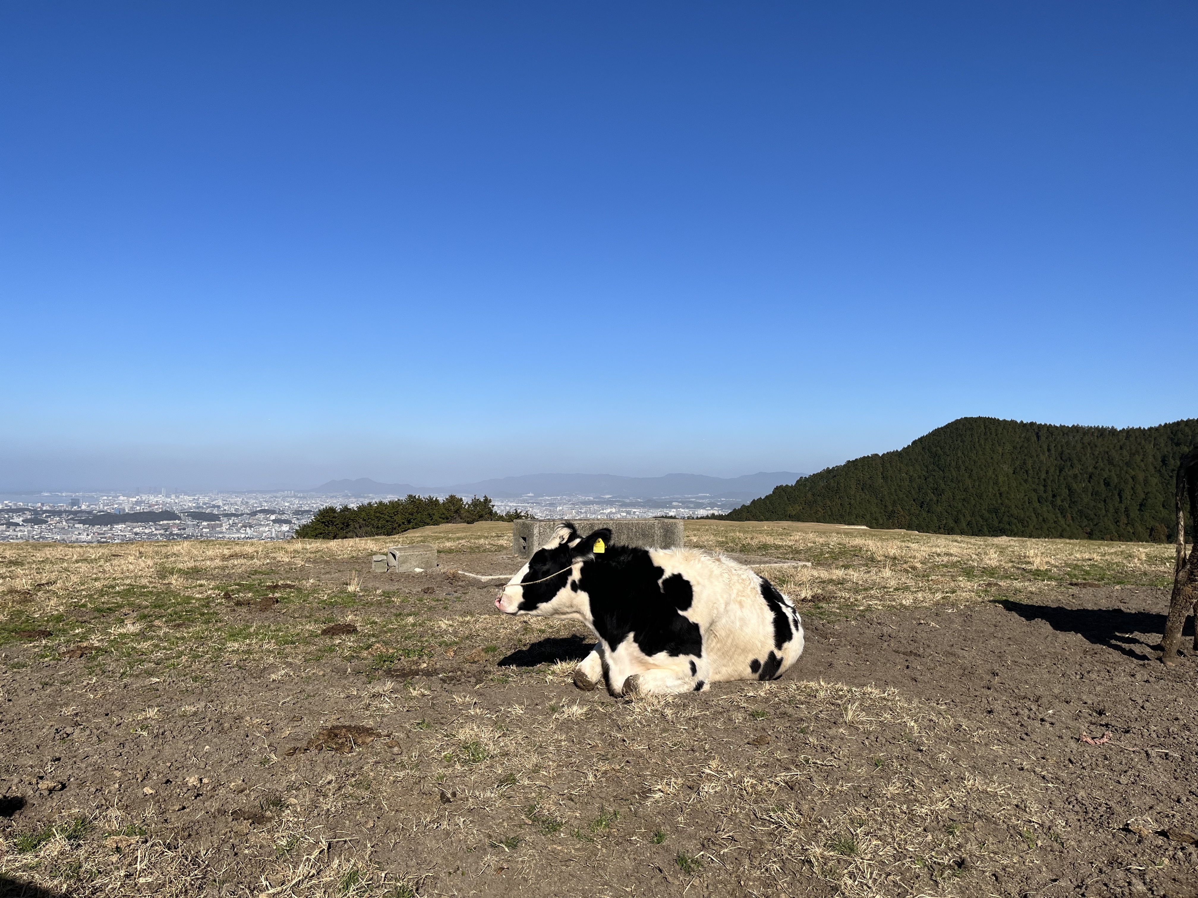 584E8789-4FF6-46AE-A584-A64477C84234 - いしまつ歯科クリニック