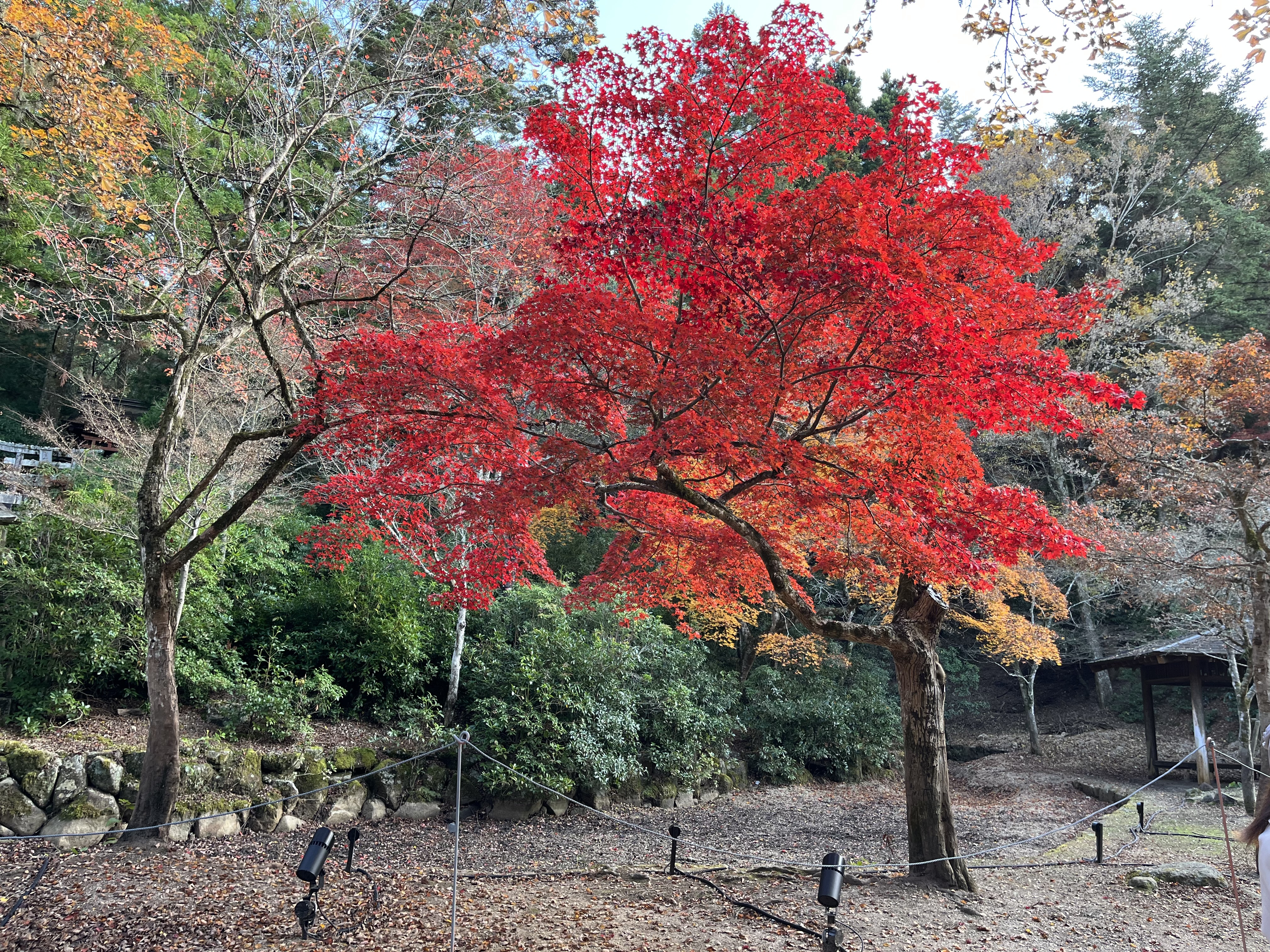 IMG_3517 - いしまつ歯科クリニック