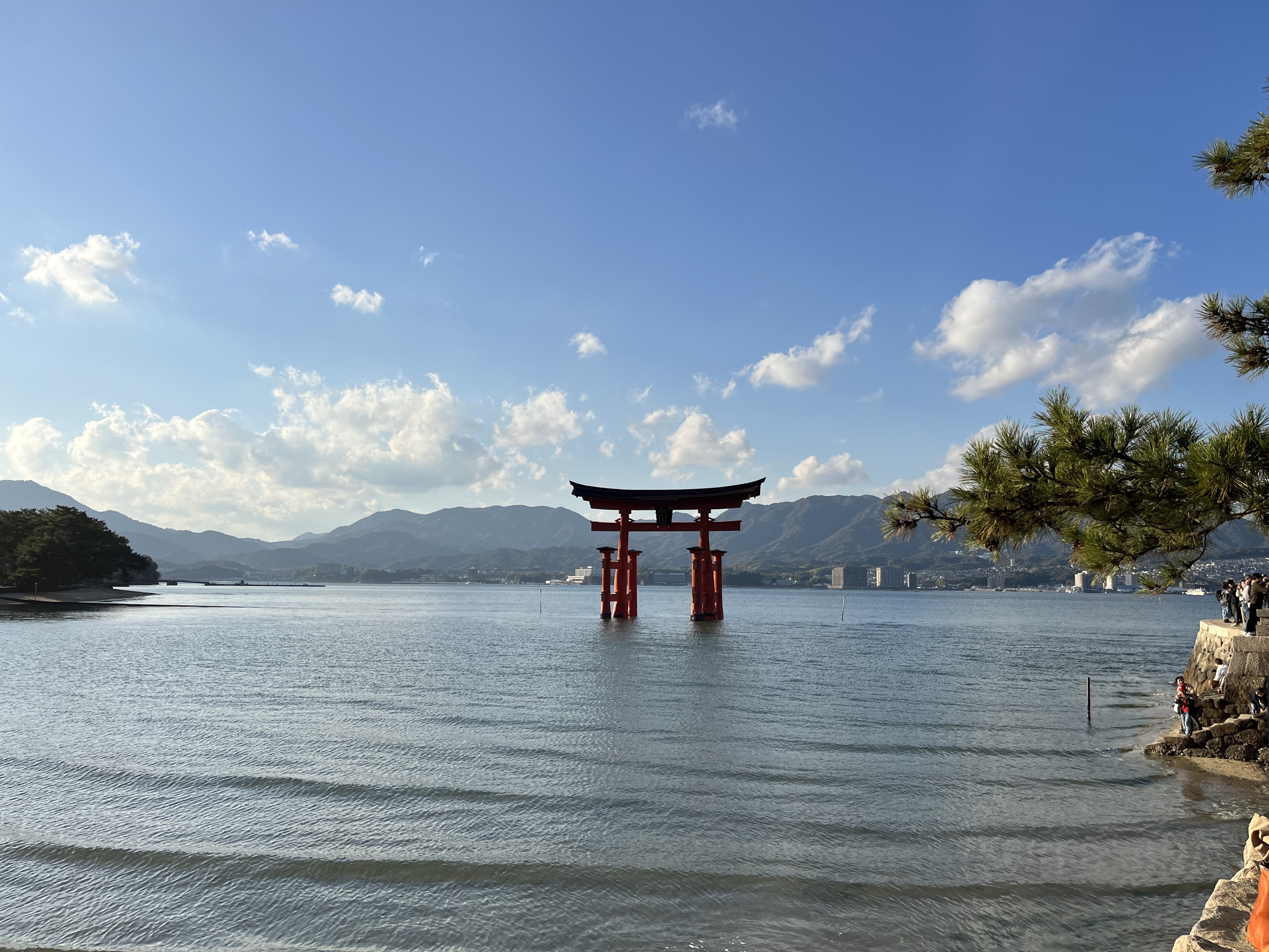 IMG_3546 - いしまつ歯科クリニック