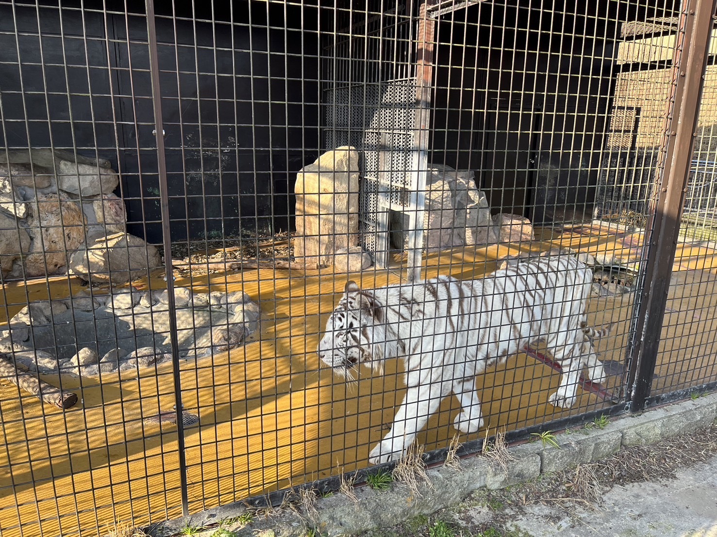 IMG_5563 - いしまつ歯科クリニック