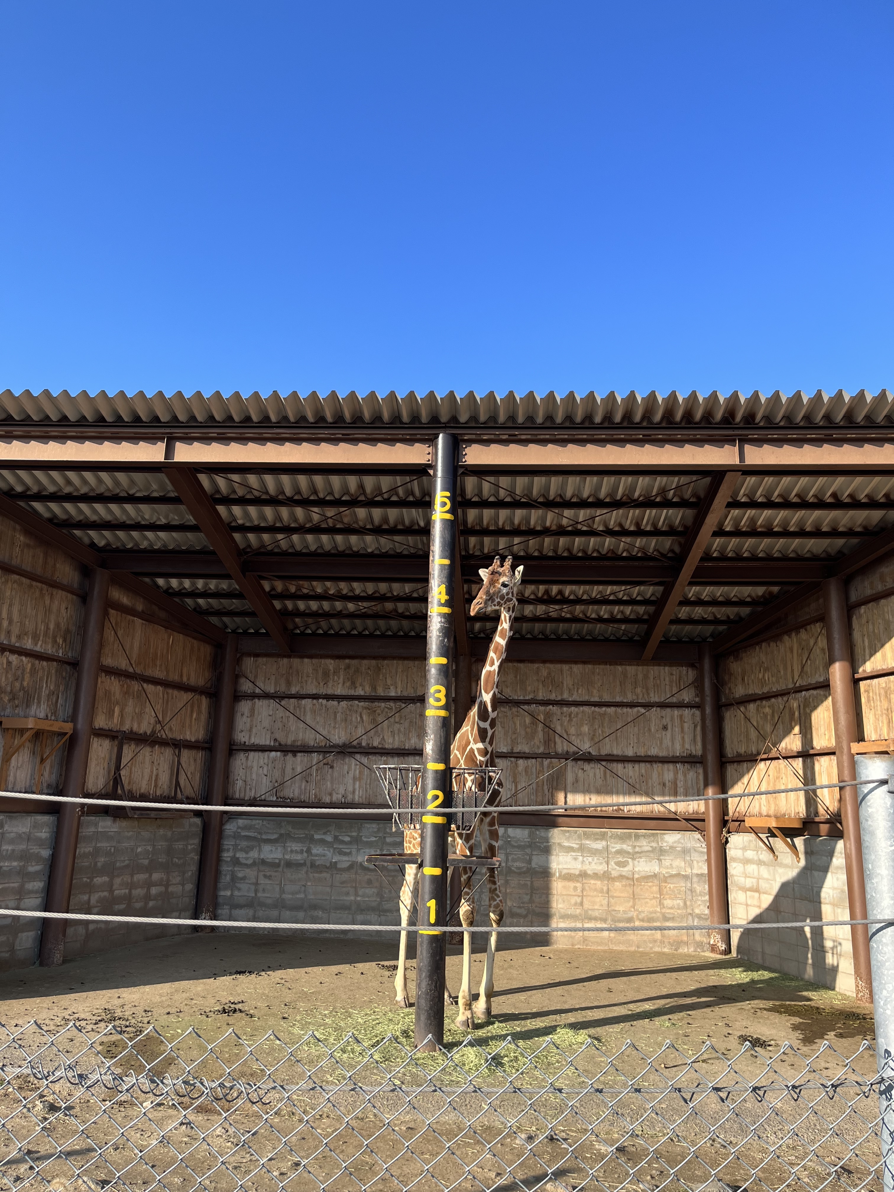 IMG_5477 - いしまつ歯科クリニック