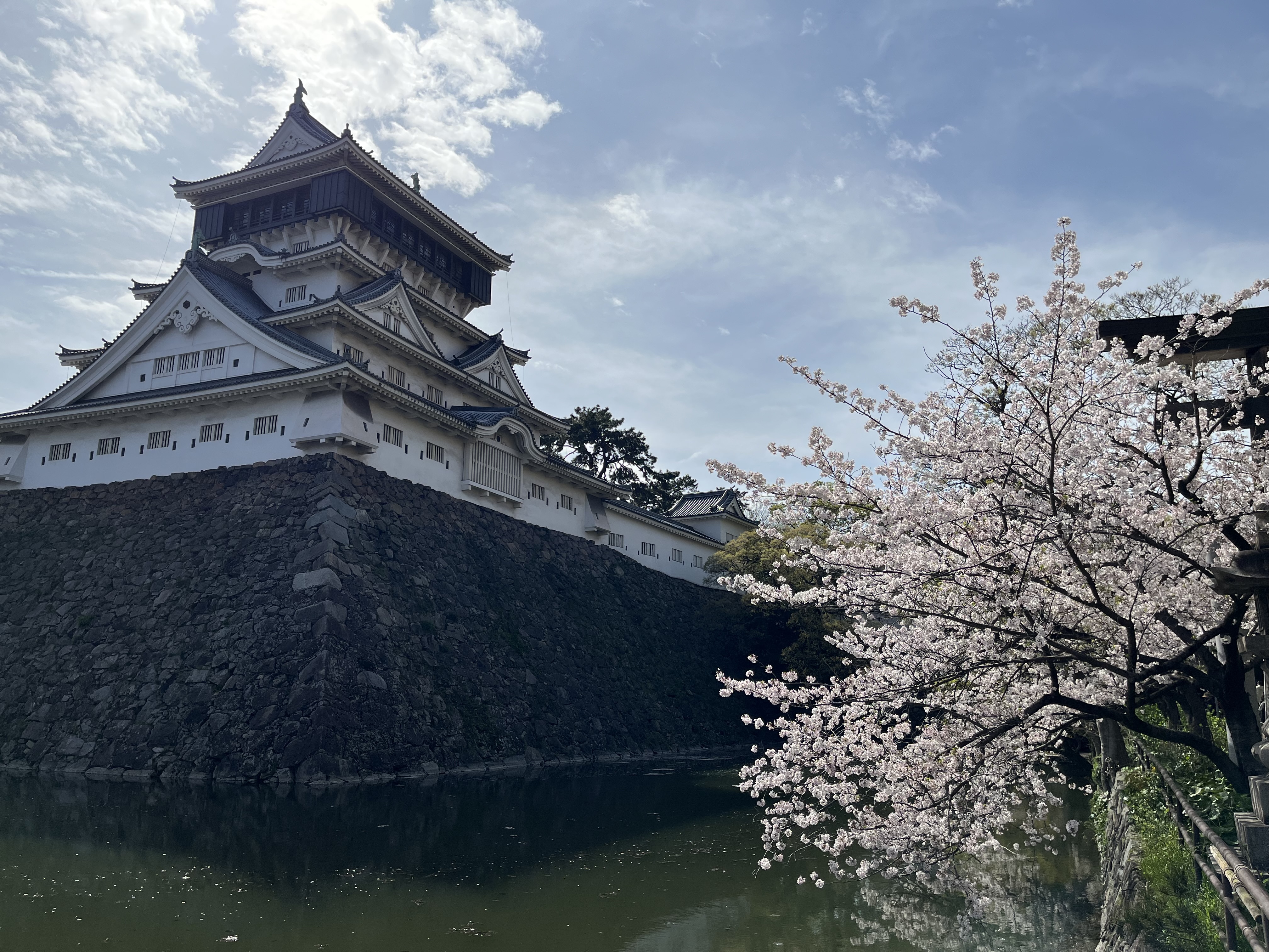 IMG_6358 - いしまつ歯科クリニック