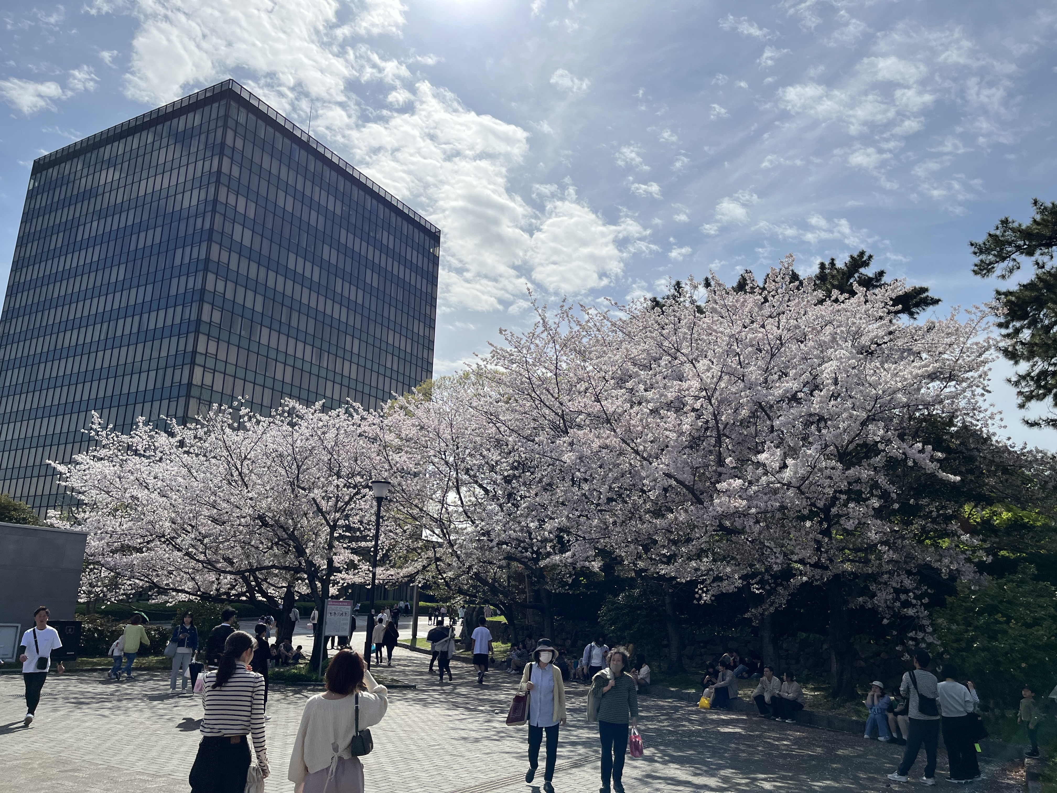 IMG_6354 - いしまつ歯科クリニック