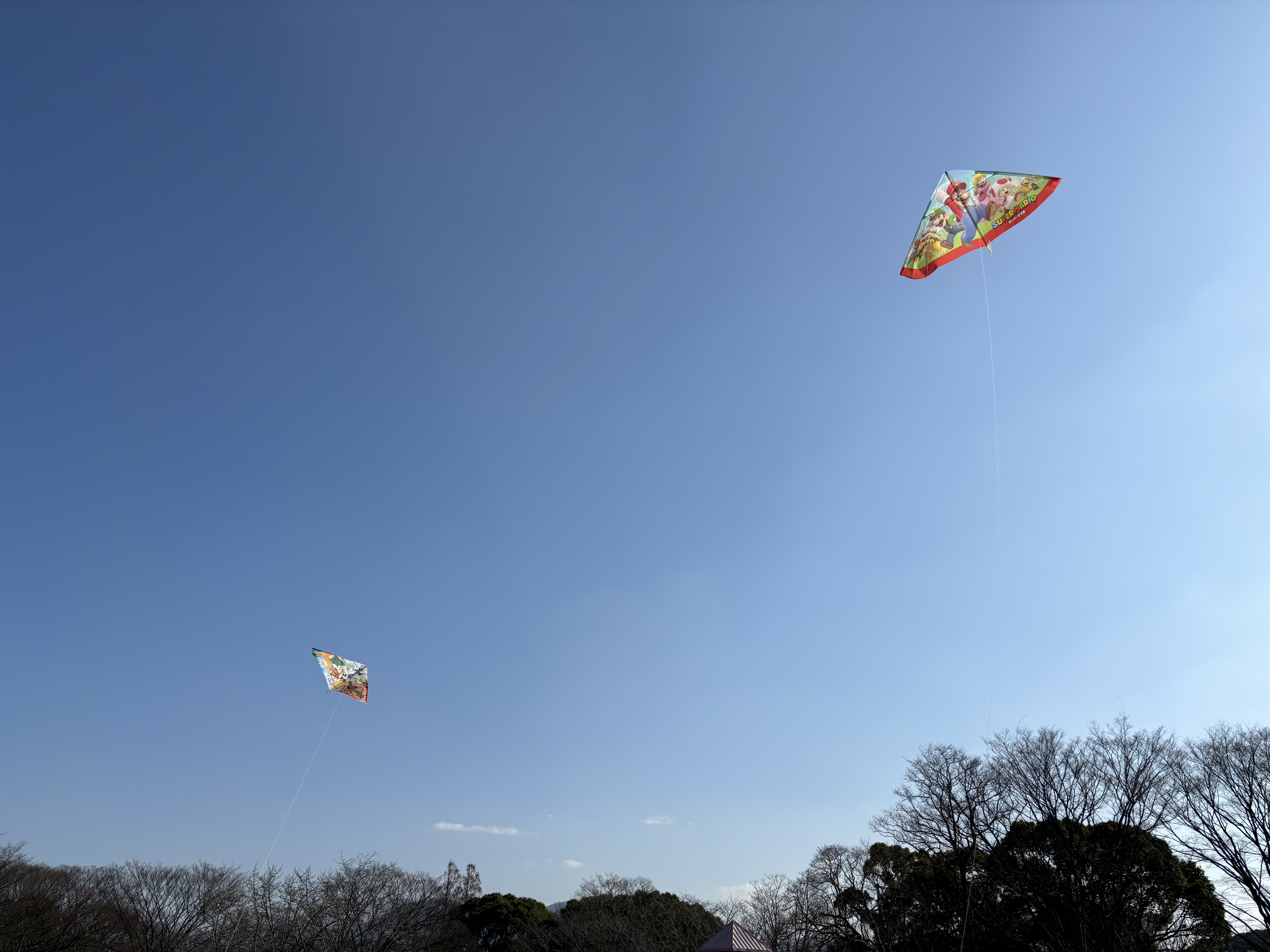 IMG_2626 - いしまつ歯科クリニック