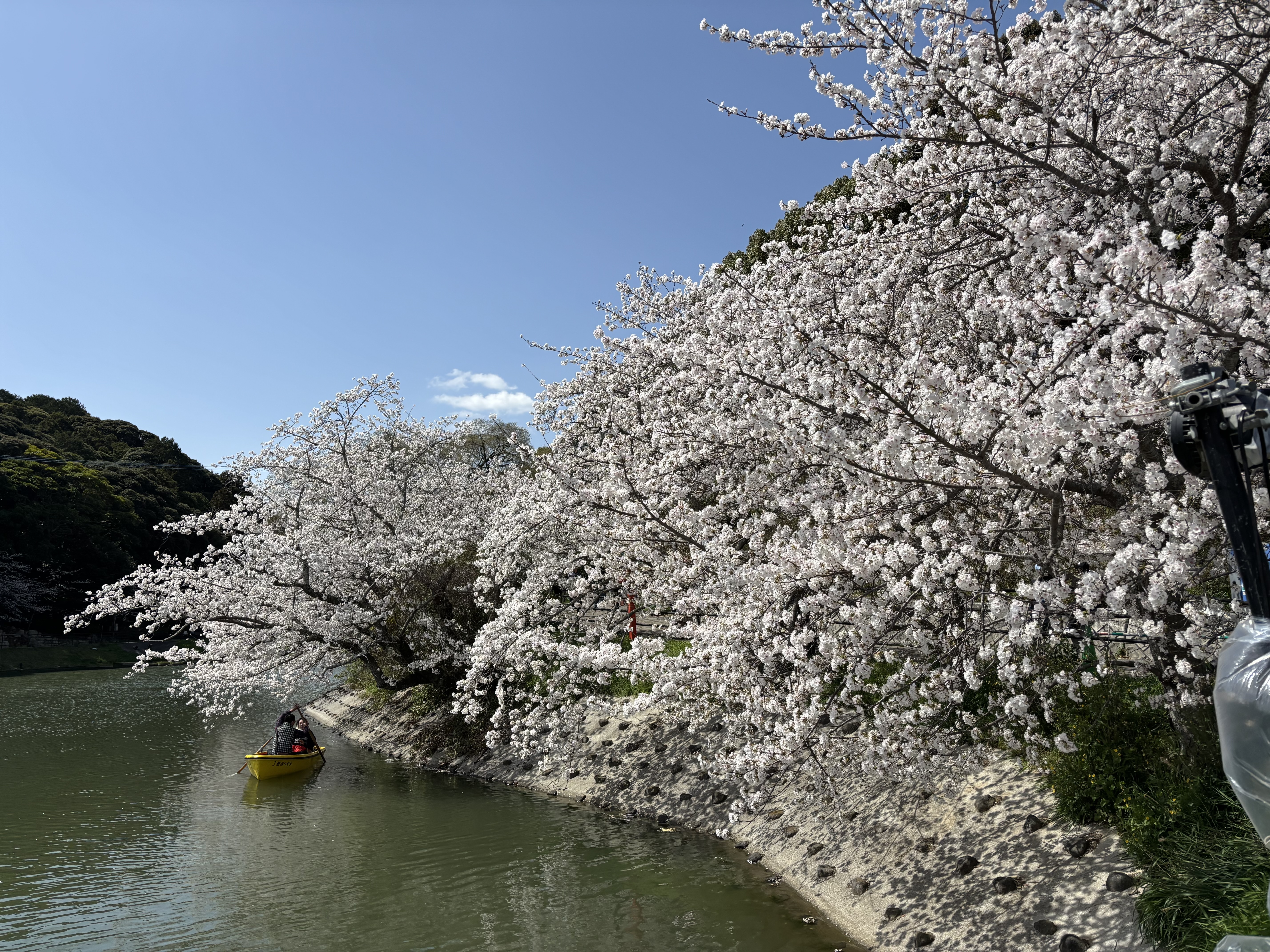 IMG_5435 - いしまつ歯科クリニック