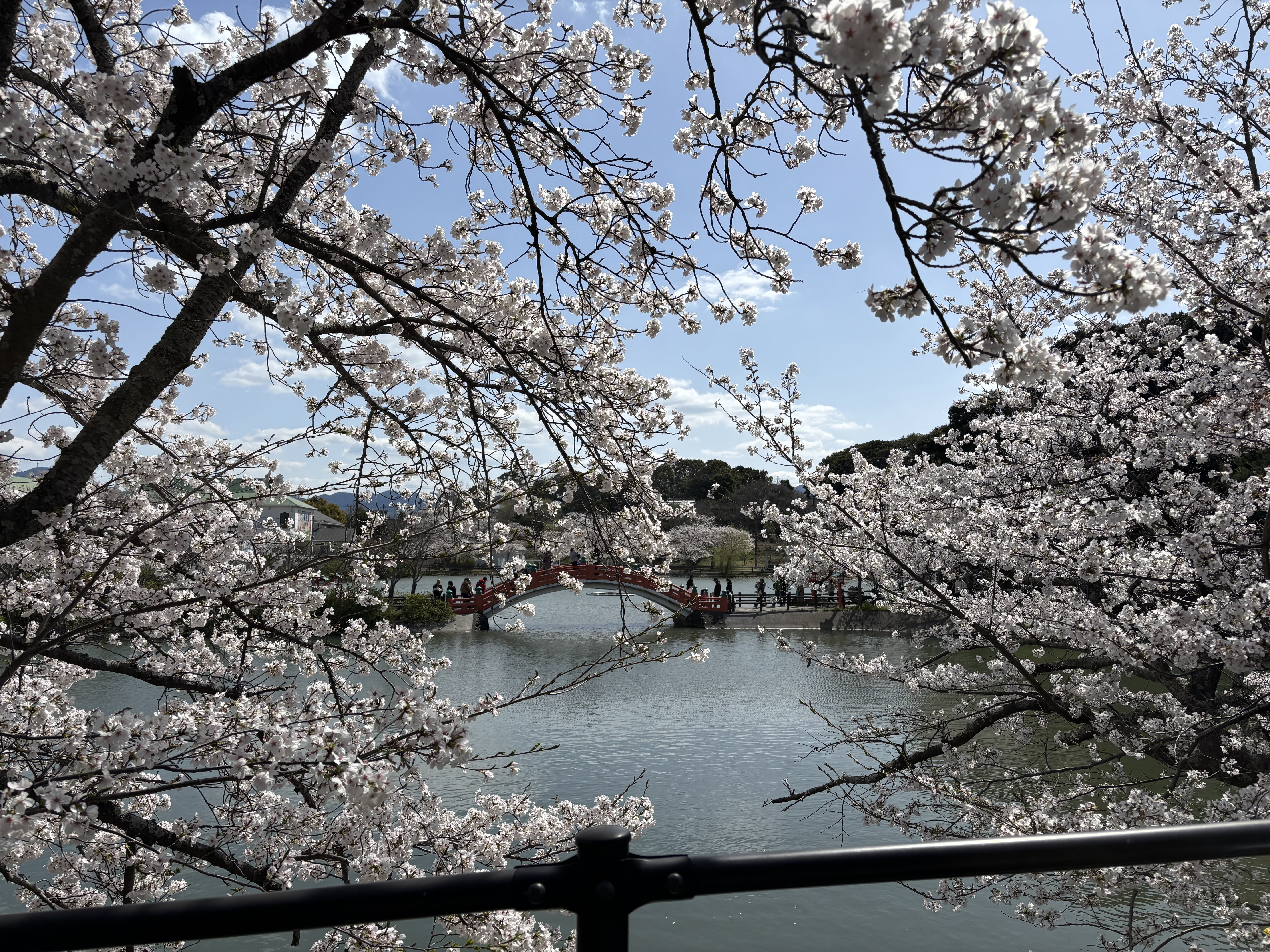 IMG_5436 - いしまつ歯科クリニック