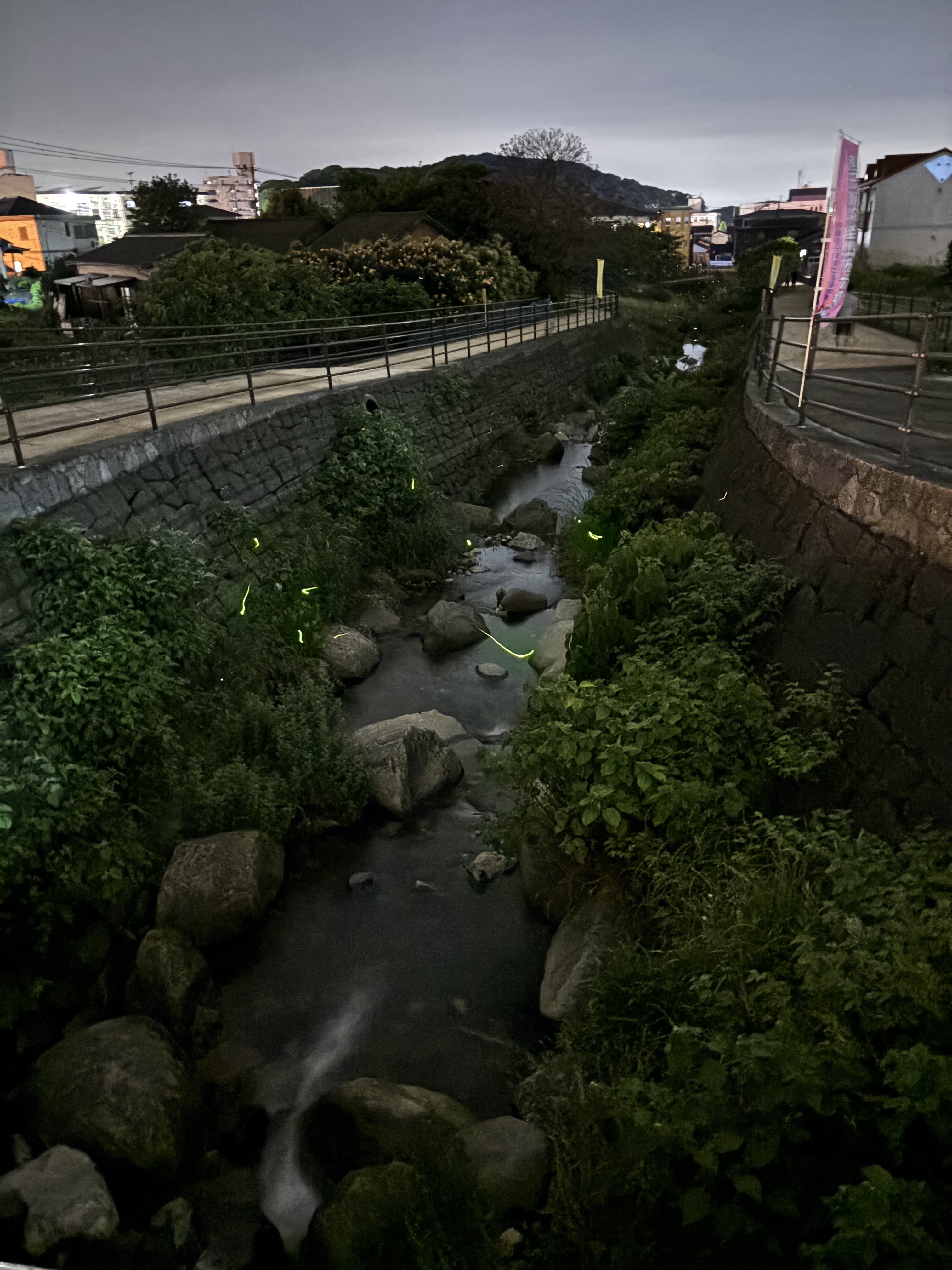 IMG_7474 - いしまつ歯科クリニック