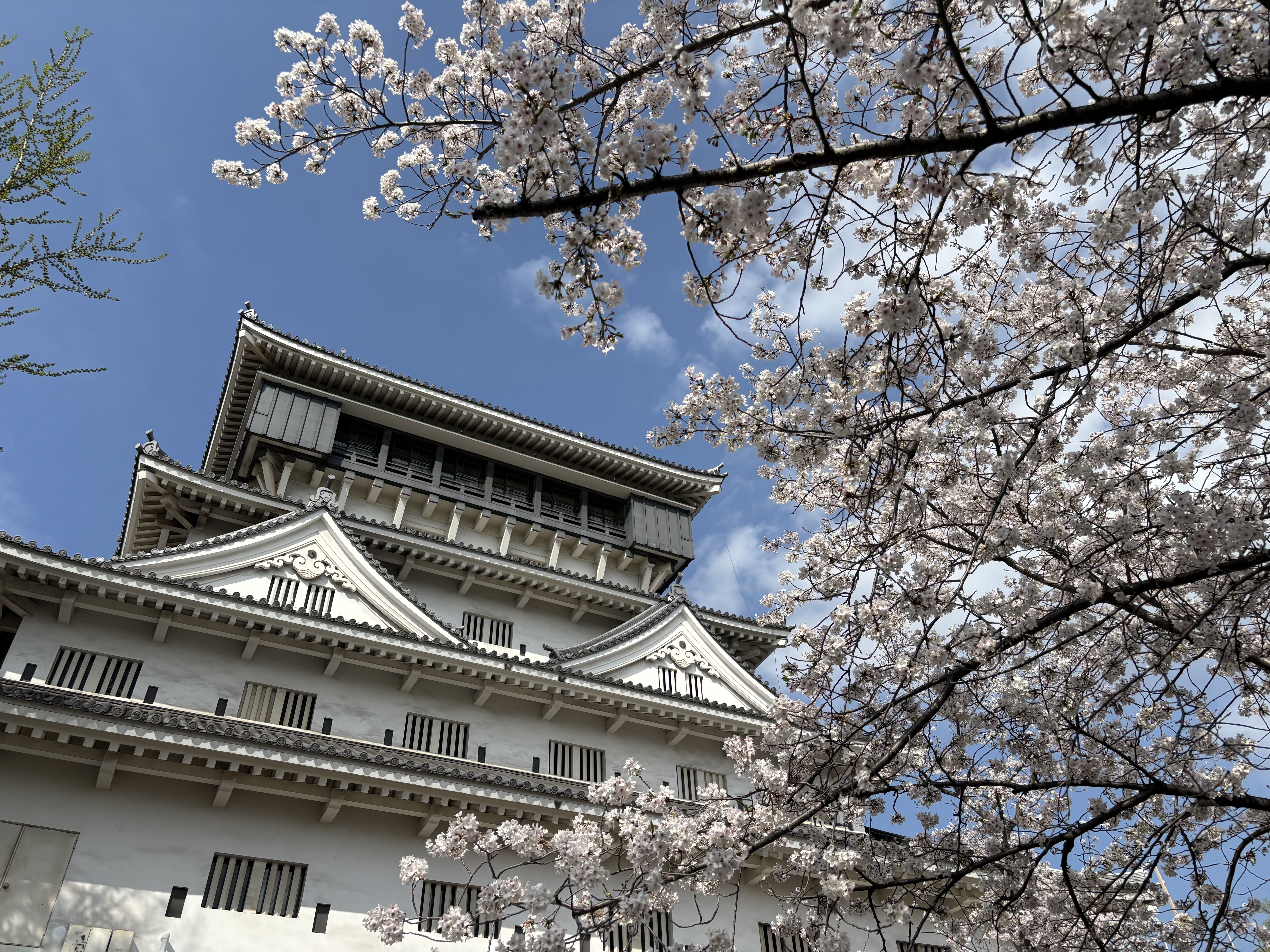 IMG_6356 - いしまつ歯科クリニック