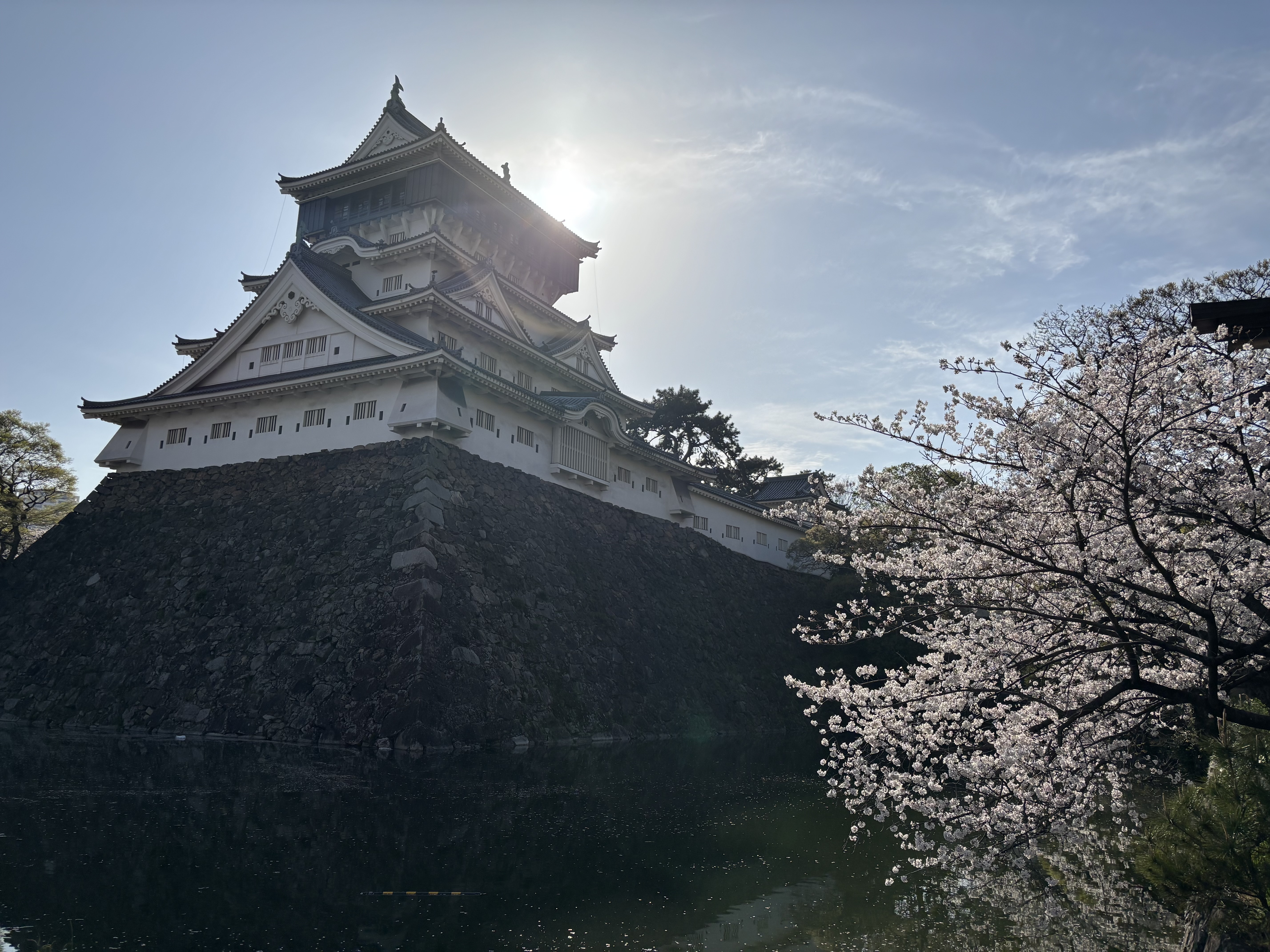 IMG_6443 - いしまつ歯科クリニック