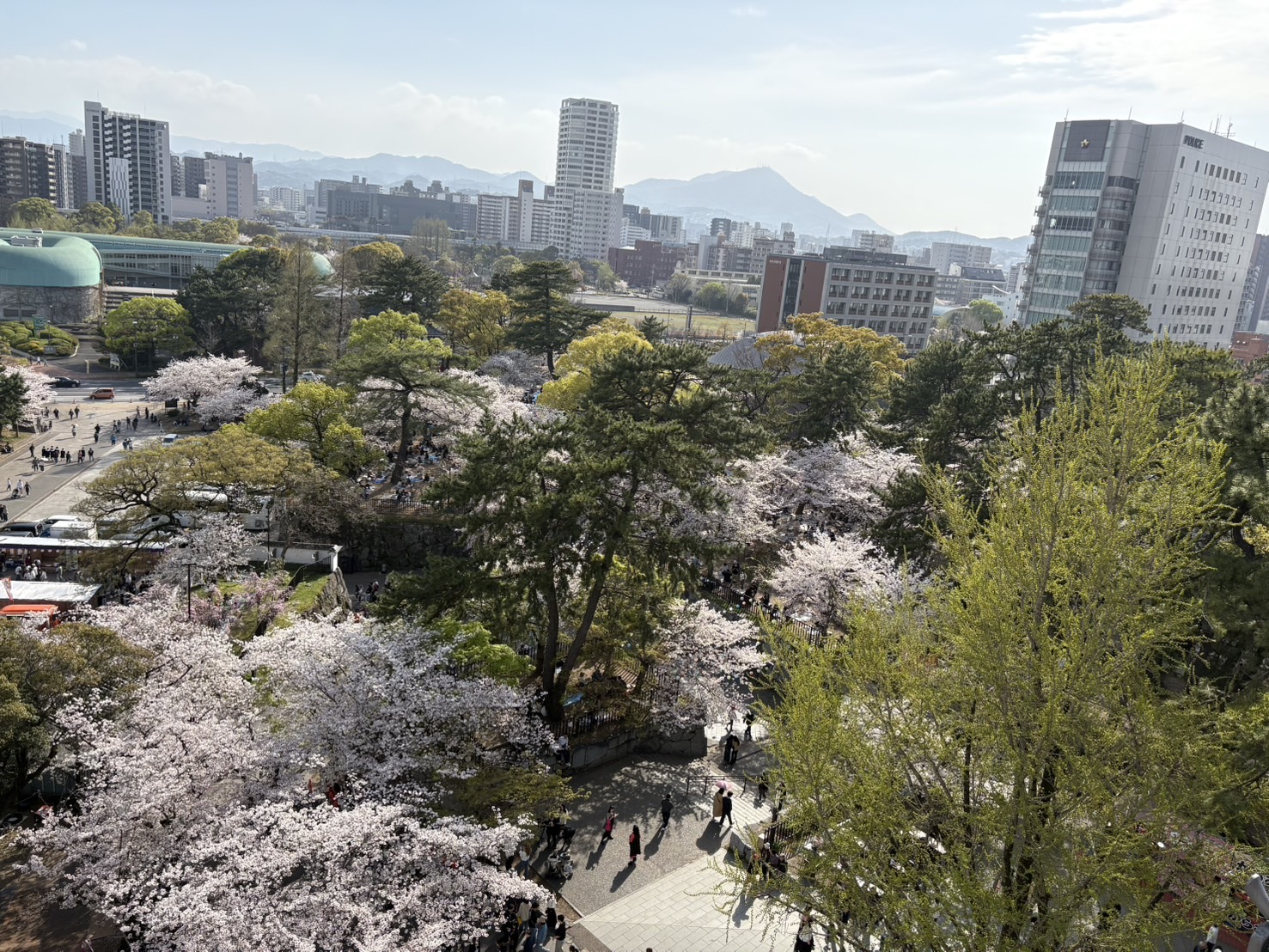 IMG_6527 - いしまつ歯科クリニック