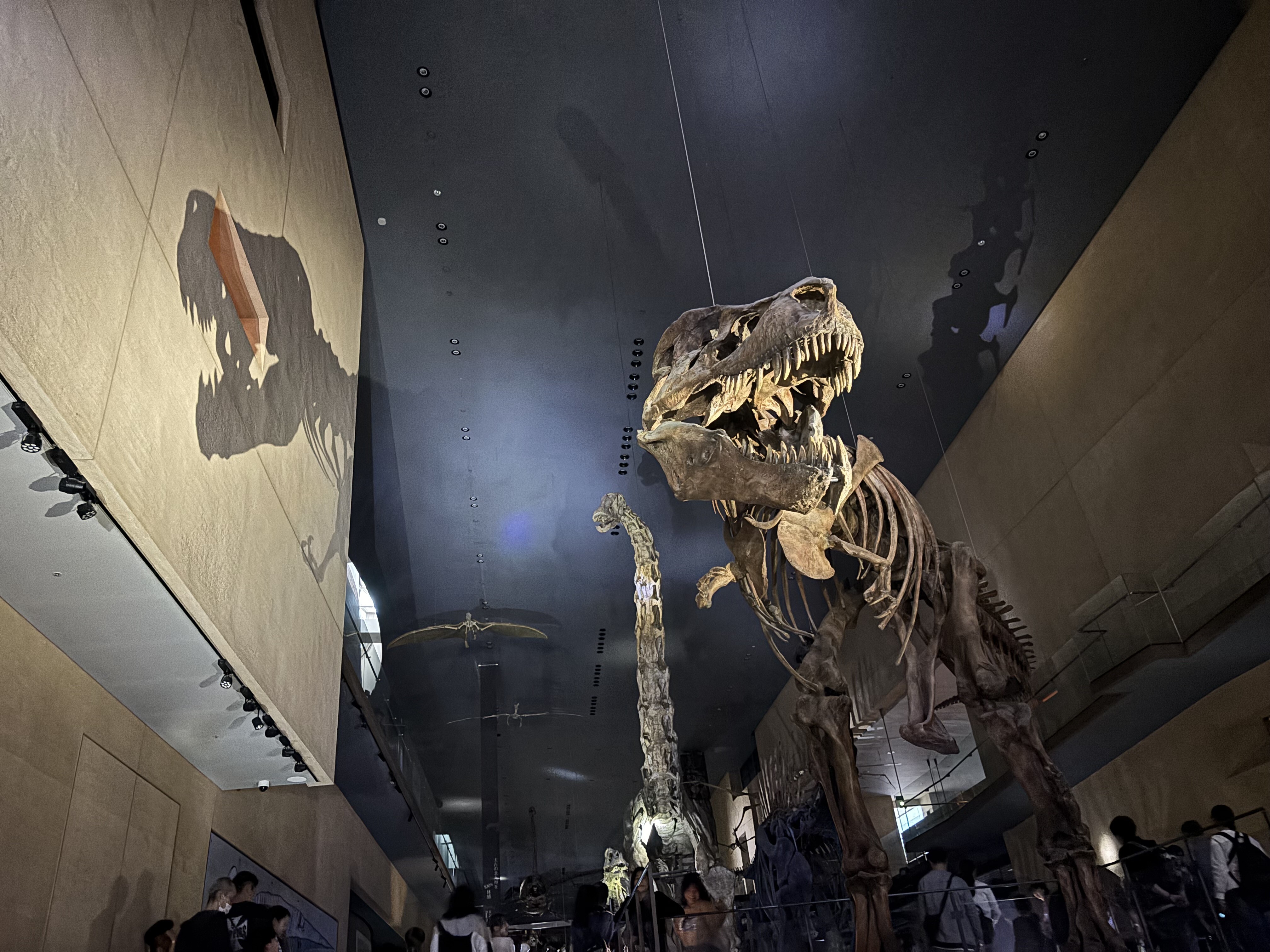 re_IMG_6899 - I. Takako